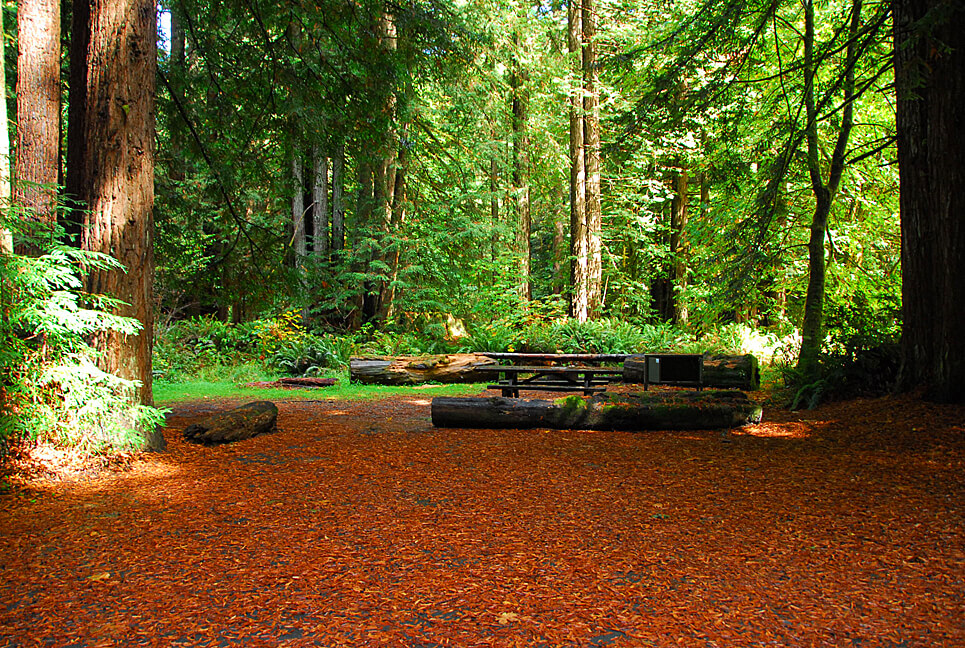 Reserving A California State Park Campsite Gets Easier - Del Norte Redwoods