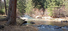 Boxelder Forks