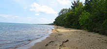 Brimley State Park