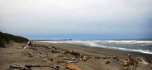 Bullards Beach State Park