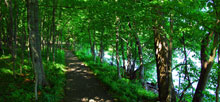 Father Hennepin State Park