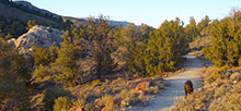 Hickison Petroglyphs Recreation Area