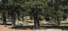 Idyllwild Park