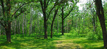 Lake Bronson State Park