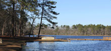 Little Pee Dee State Park