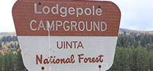 Lodgepole At Heber