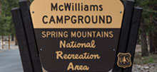 Mcwilliams