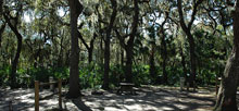 Myakka River State Park