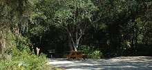 Myakka River State Park