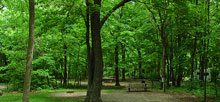 Myre-Big Island State Park