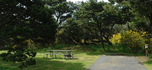 Nehalem Bay State Park