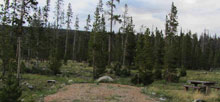 North Fork Little Laramie River