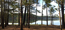 Kerr Lake State Recreation Area &#8211; Nutbush Bridge