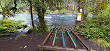 Olallie On Mckenzie Highway