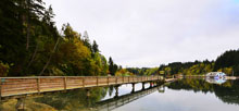 Penrose Point State Park