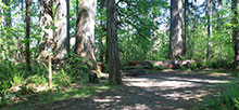 Schafer State Park