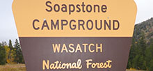 Soapstone