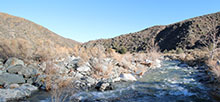 South Fork | Angeles National Forest