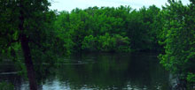 St Croix State Park